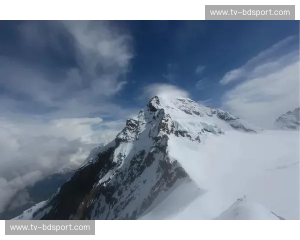 开云体育排球直播：让每一次扣杀都触手可及