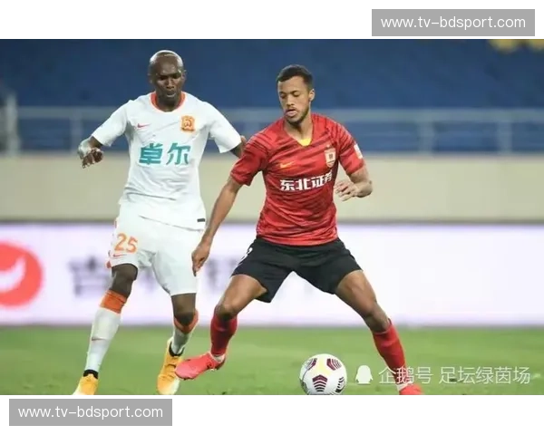 绿茵风云再起：河南队与申花队的恩怨情仇与绿茵逐梦